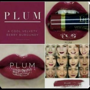 Lipsense by Senegence 18 hr lipstick. Kissproof, water proof, smear proof